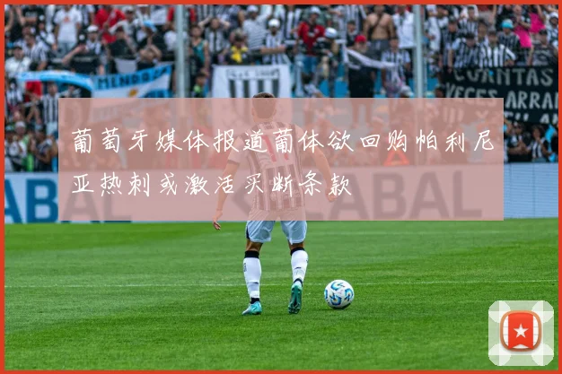 葡萄牙媒体报道葡体欲回购帕利尼亚热刺或激活买断条款