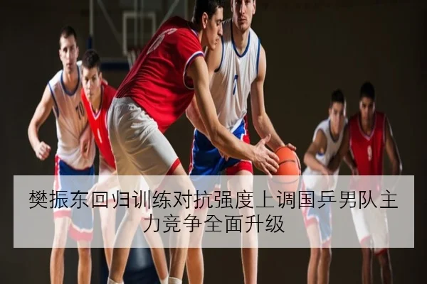 樊振东回归训练对抗强度上调国乒男队主力竞争全面升级